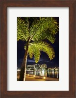 Cairns, waterfront at night, North Queensland, Australia Fine Art Print