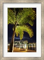Cairns, waterfront at night, North Queensland, Australia Fine Art Print