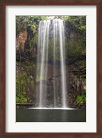 Millaa Millaa Falls, Queensland, Australia Fine Art Print