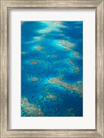 Undine Reef, Great Barrier Reef, Queensland, Australia Fine Art Print