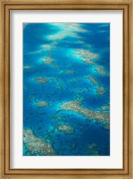 Undine Reef, Great Barrier Reef, Queensland, Australia Fine Art Print
