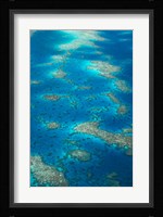 Undine Reef, Great Barrier Reef, Queensland, Australia Fine Art Print