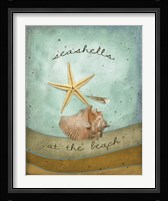 Seashells Framed Print