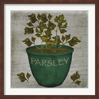 Herb Parsley Fine Art Print