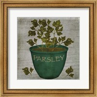 Herb Parsley Fine Art Print