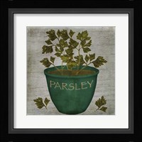 Herb Parsley Fine Art Print