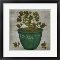 Herb Parsley Framed Print