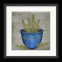 Herb Rosemary Framed Print