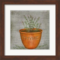Herb Thyme Fine Art Print