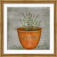 Herb Thyme Fine Art Print