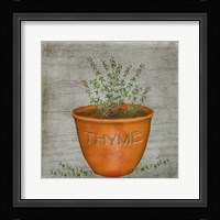 Herb Thyme Framed Print