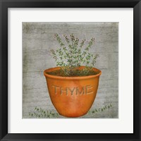 Herb Thyme Framed Print