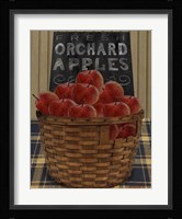 Orchard Apples Fine Art Print