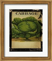 Vintage Cabbage Fine Art Print