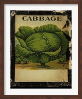 Vintage Cabbage Fine Art Print