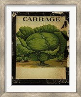 Vintage Cabbage Fine Art Print