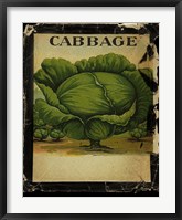 Vintage Cabbage Framed Print