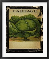 Vintage Cabbage Fine Art Print
