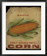 Vintage Corn Framed Print