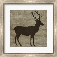 Deer Fine Art Print