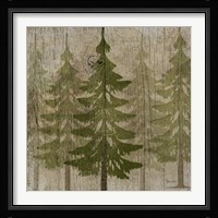 Pines Fine Art Print