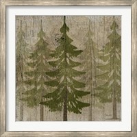 Pines Fine Art Print