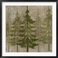 Pines Fine Art Print