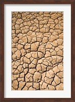 Dry Irrigation Pond, Strzelecki Track, Outback, South Australia, Australia Fine Art Print
