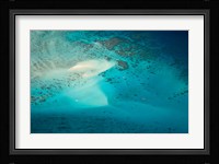 Upolu Cay and Dive Boats, Great Barrier Reef Marine Park, Australia Fine Art Print