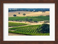 Mountadam vineyard winery on High Eden Road, Barossa Valley, Australia Fine Art Print