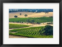 Mountadam vineyard winery on High Eden Road, Barossa Valley, Australia Fine Art Print