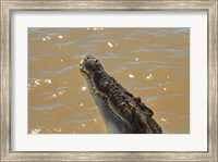 Jumping Crocodile Cruise, Adelaide River, Australia Fine Art Print