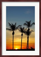 Beach, Palm trees, Mindil Beach, Darwin, Australia Fine Art Print