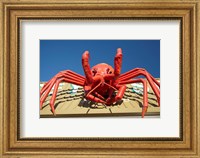 Crustacean, Giant Lobster, Stanley, Tasmania, Australia Fine Art Print