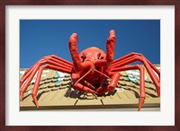 Crustacean, Giant Lobster, Stanley, Tasmania, Australia Fine Art Print