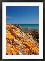 Orange Lichen, Green Point, Ann Bay, Australia Fine Art Print