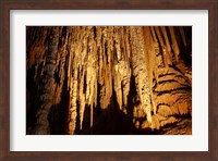 Stalactites, Newdegate Cave, Hastings Caves, Australia Fine Art Print