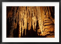 Stalactites, Newdegate Cave, Hastings Caves, Australia Fine Art Print