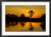 Water Billabong, Kakadu NP, Northern Territory, Australia Fine Art Print