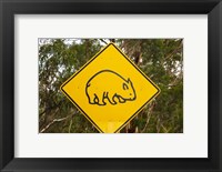 Wombat warning sign, Tasman Peninsula, Australia Fine Art Print