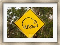 Wombat warning sign, Tasman Peninsula, Australia Fine Art Print