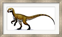 Scutellosaurus Fine Art Print