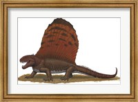 Dimetrodon Fine Art Print