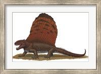 Dimetrodon Fine Art Print