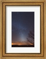 Zodiacal Light and Milky Way over the Texas Plains Fine Art Print