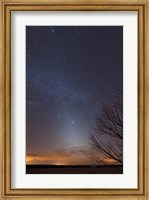 Zodiacal Light and Milky Way over the Texas Plains Fine Art Print