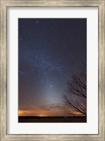 Zodiacal Light and Milky Way over the Texas Plains Fine Art Print