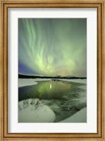 Aurora Borealis over a creek, Yukon, Canada Fine Art Print