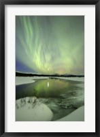 Aurora Borealis over a creek, Yukon, Canada Fine Art Print