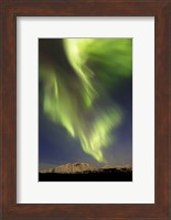 Aurora Borealis over Emerald Lake, Carcross, Yukon, Canada Fine Art Print